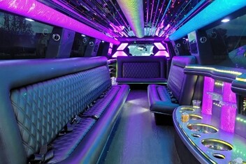 Hesperia Limo Interior